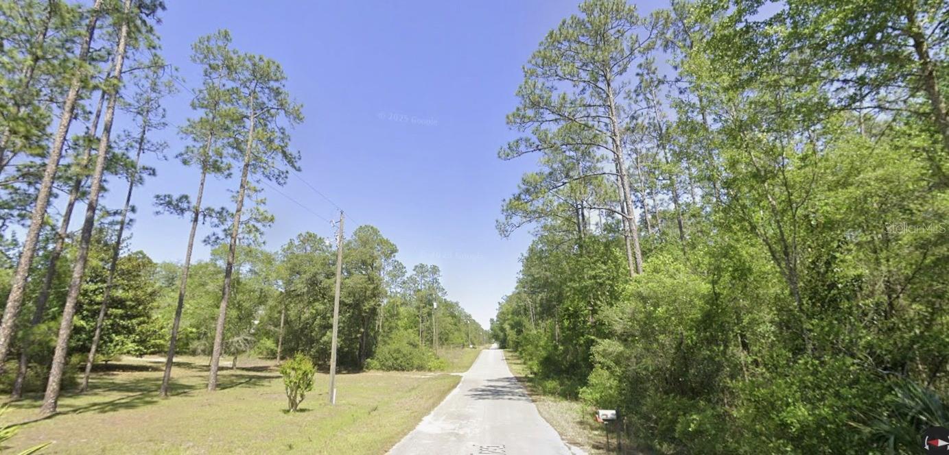 SW NAUTILUS BLVD, DUNNELLON, FL — photo 10