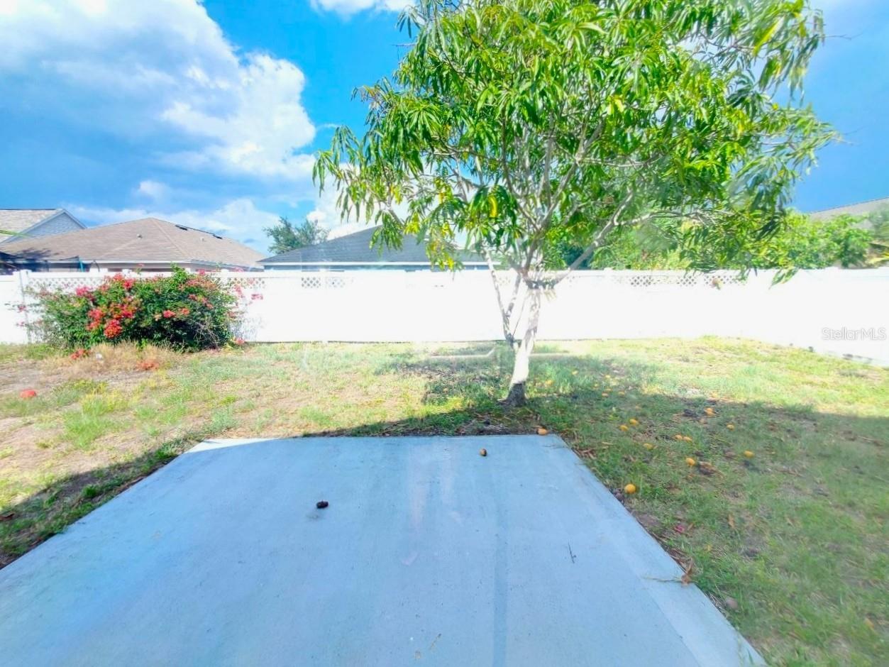 1409 DELANO TRENT ST, RUSKIN, FL — photo 20