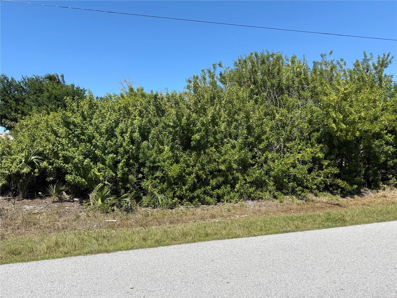 9180 SPRING CIR, PORT CHARLOTTE, FL — photo 8