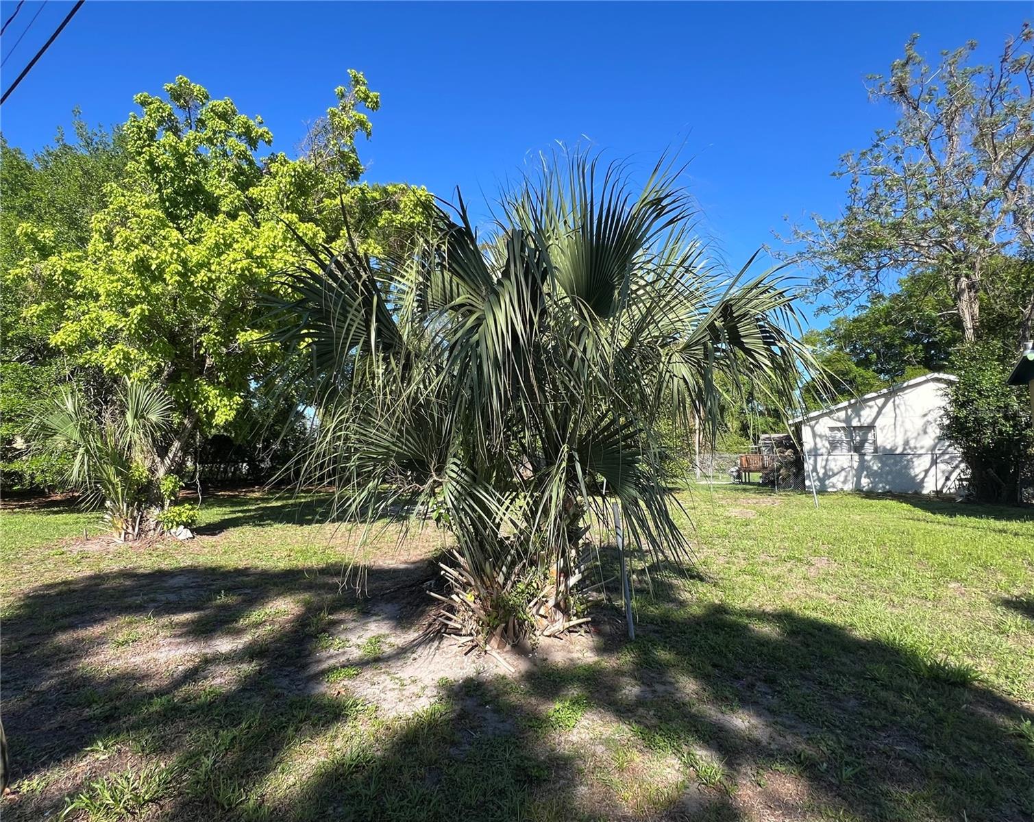 10105 N 16 ST, TAMPA, FL — photo 2