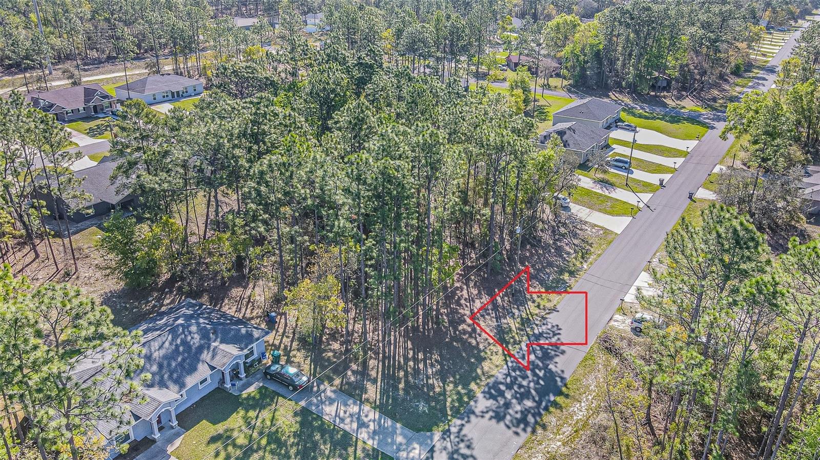 9411 N MENDOZA WAY, CITRUS SPRINGS, FL
