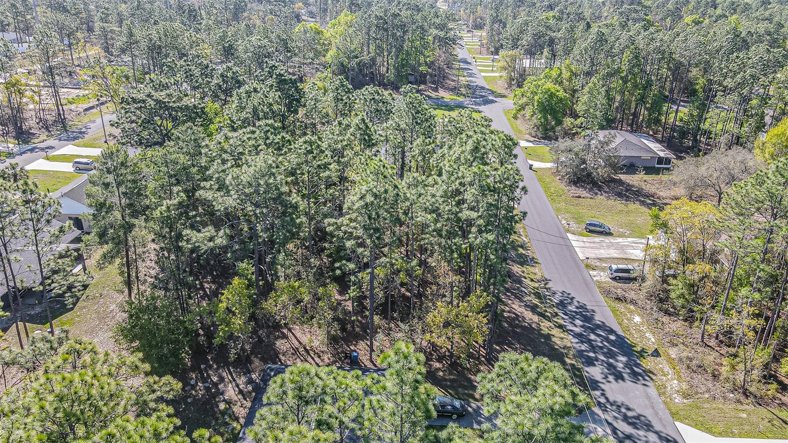 9411 N MENDOZA WAY, CITRUS SPRINGS, FL — photo 2