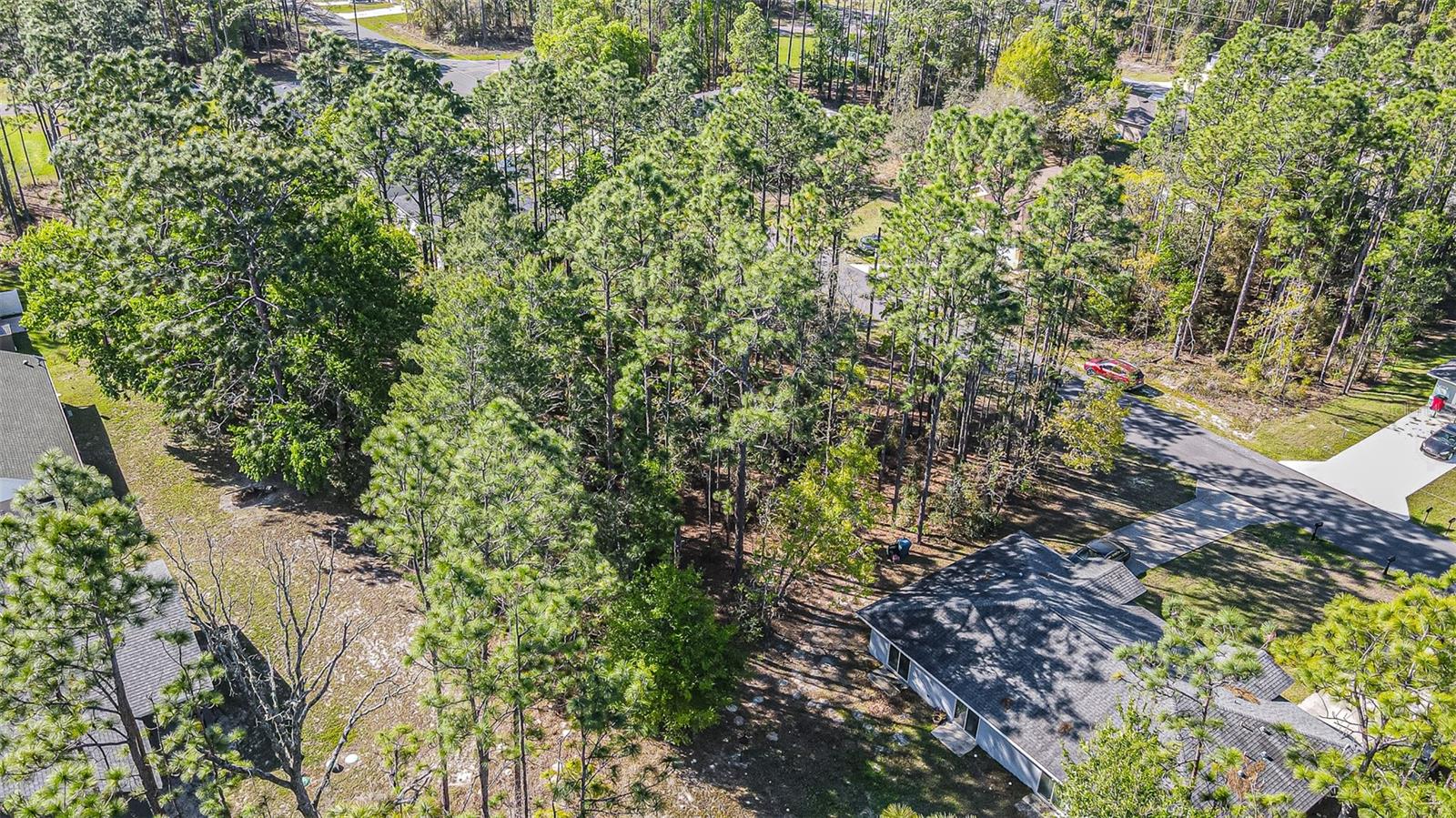 9411 N MENDOZA WAY, CITRUS SPRINGS, FL — photo 3