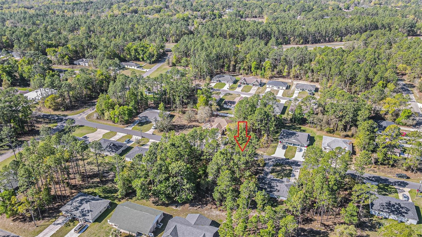 9411 N MENDOZA WAY, CITRUS SPRINGS, FL — photo 6