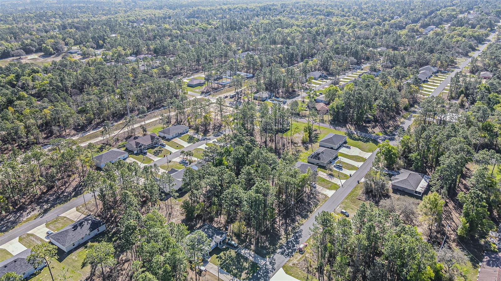 9411 N MENDOZA WAY, CITRUS SPRINGS, FL — photo 9