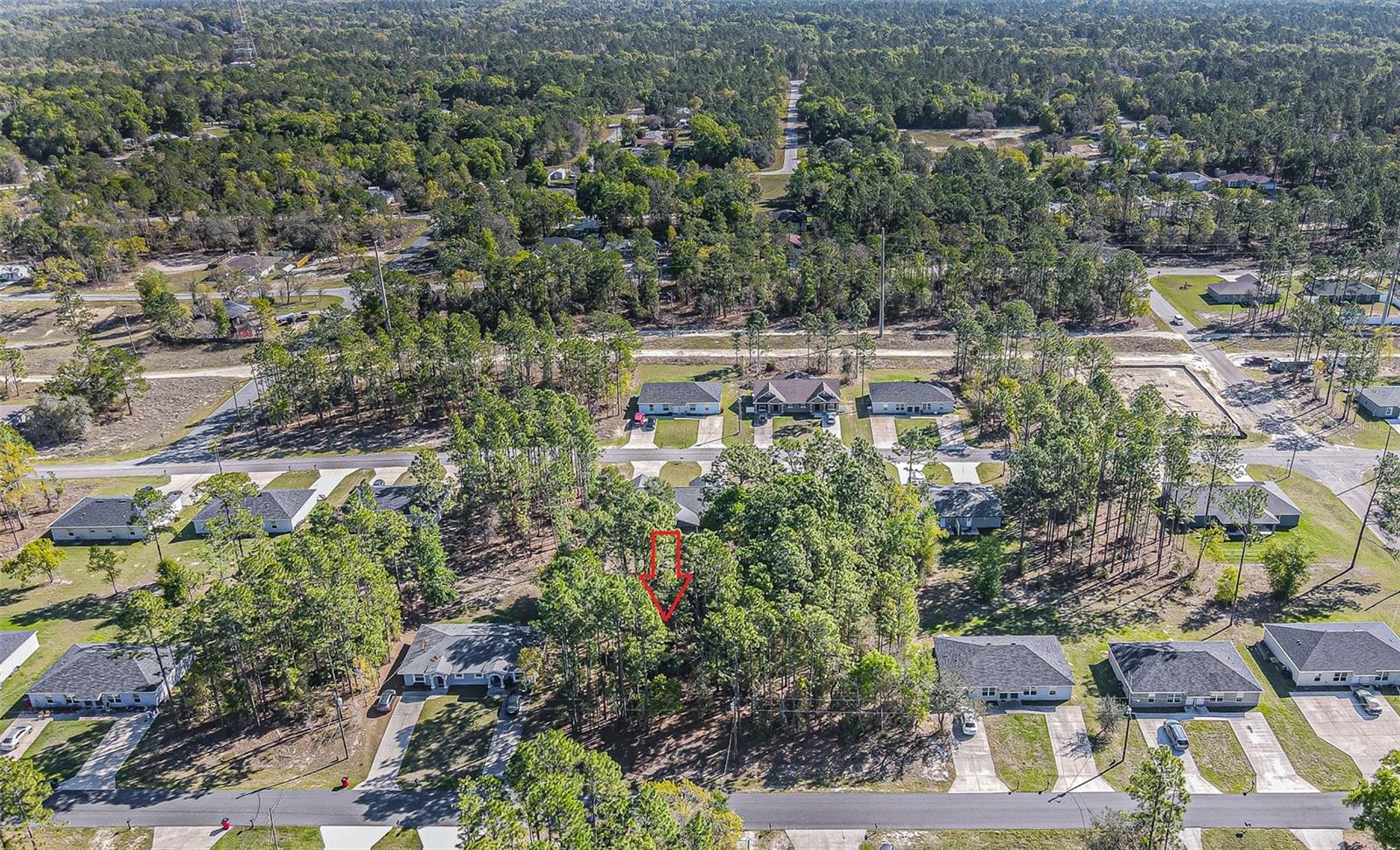 9411 N MENDOZA WAY, CITRUS SPRINGS, FL — photo 10