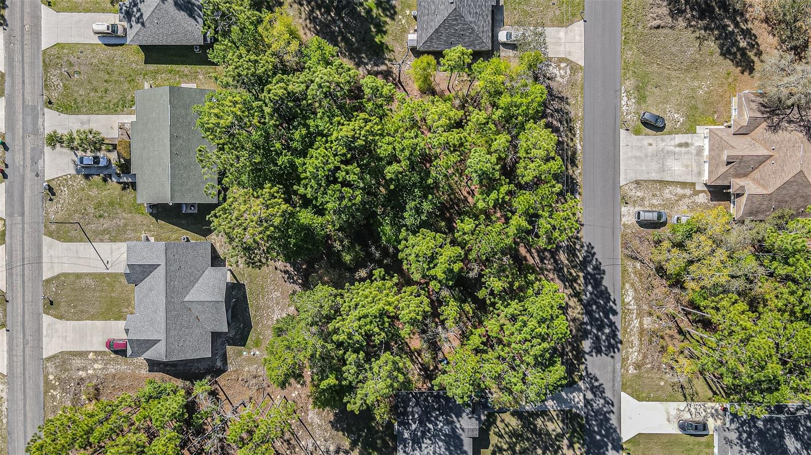9411 N MENDOZA WAY, CITRUS SPRINGS, FL — photo 11