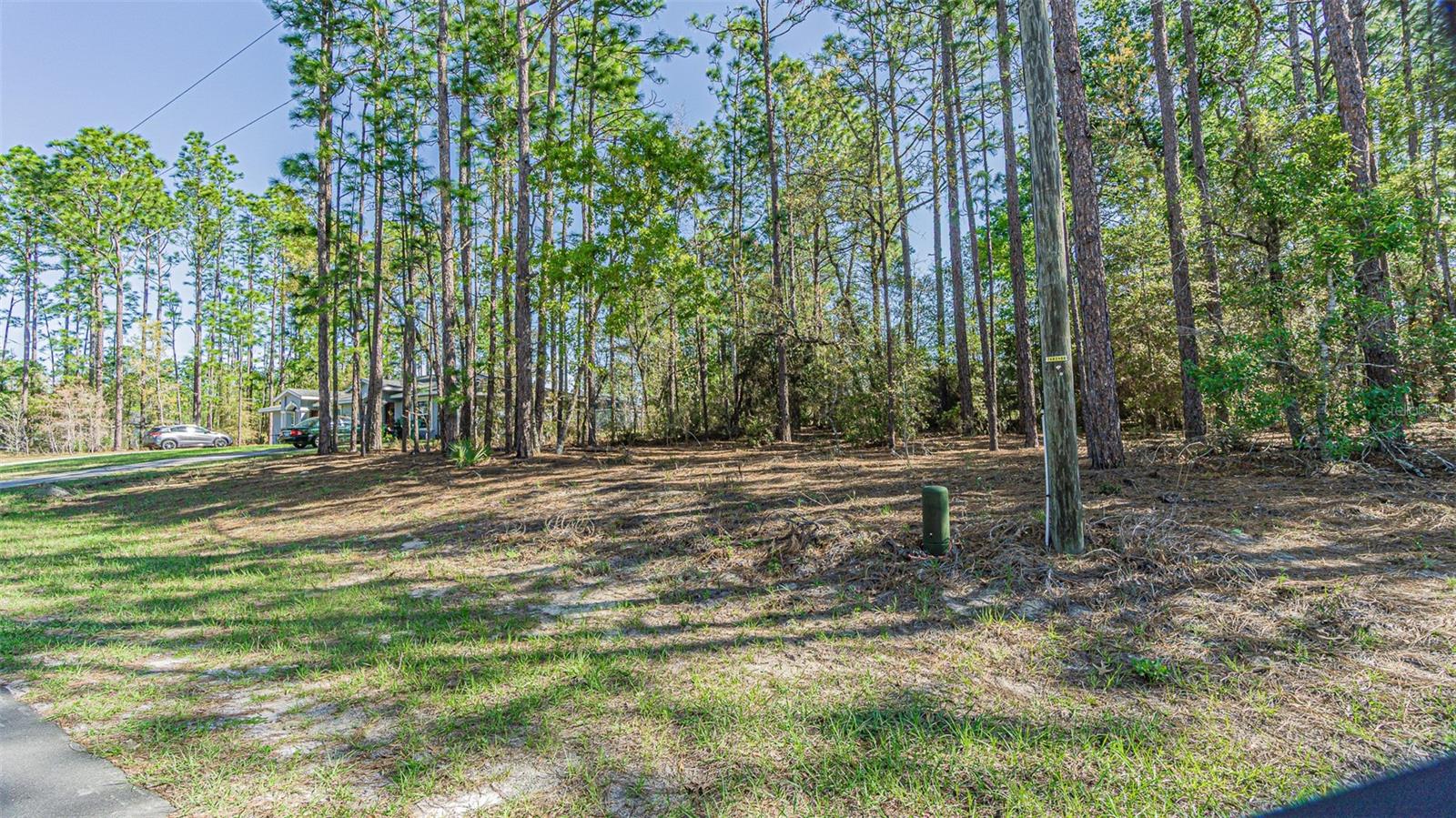 9411 N MENDOZA WAY, CITRUS SPRINGS, FL — photo 12