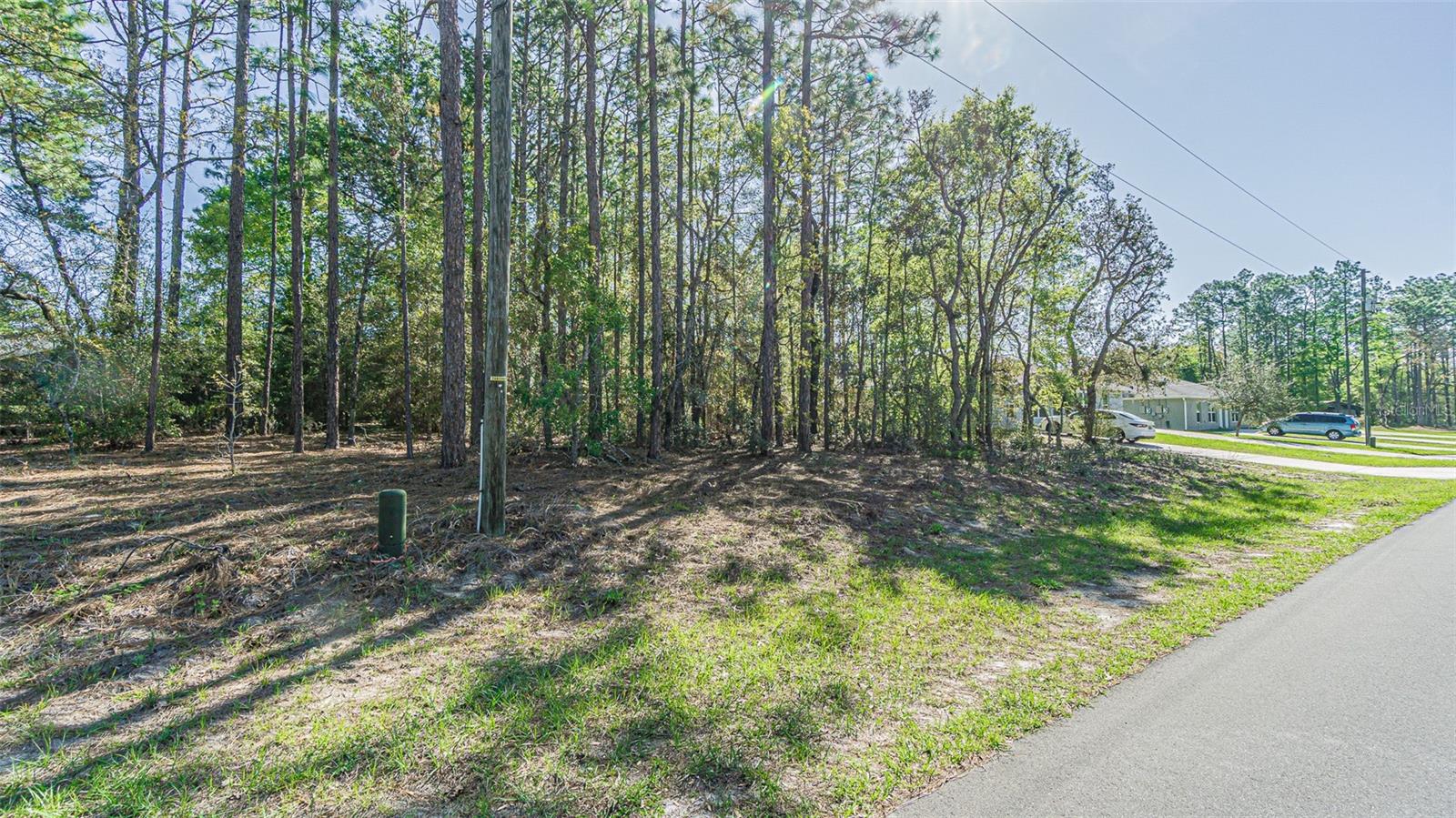 9411 N MENDOZA WAY, CITRUS SPRINGS, FL — photo 13