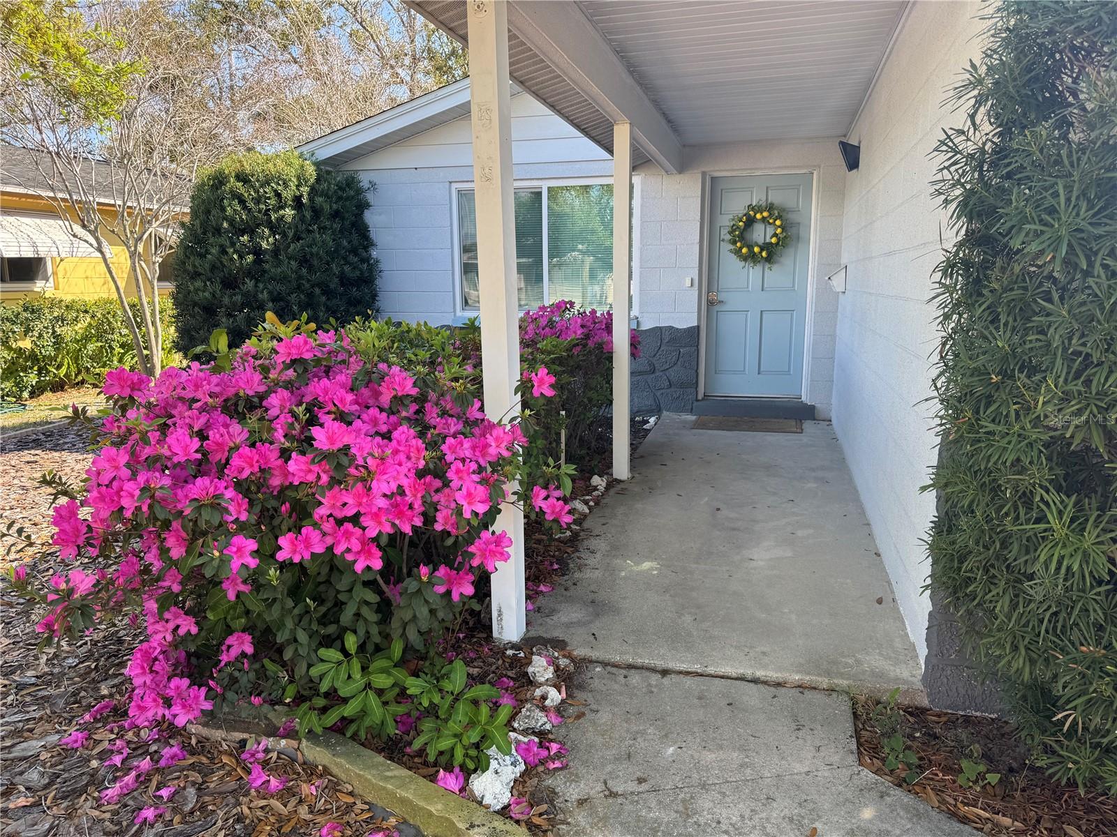 6550 3RD AVE S, ST PETERSBURG, FL — photo 3