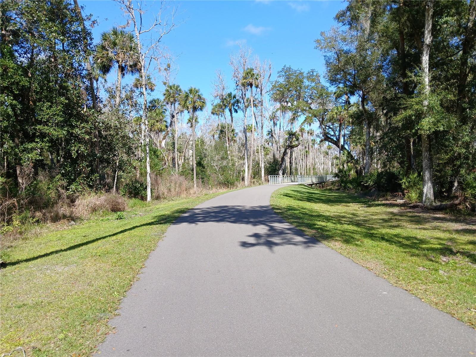 123 ARENA LAKE DRIVE, PALM COAST, FL — photo 44