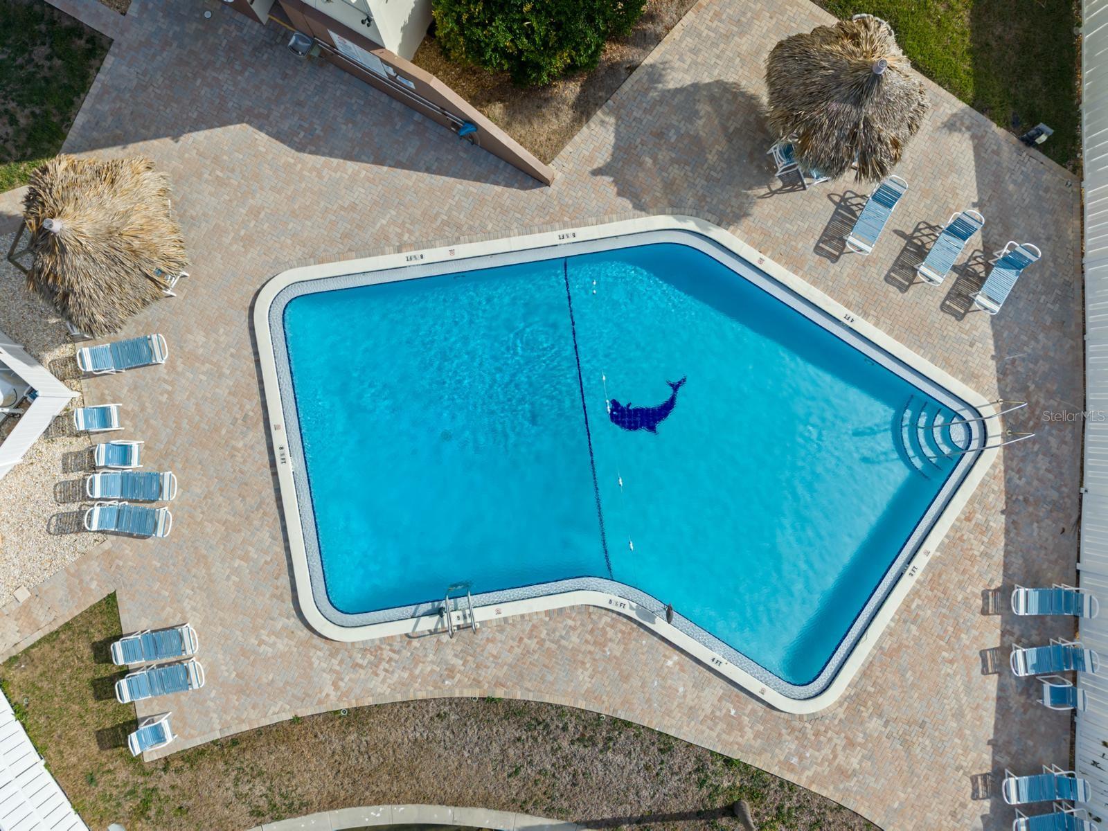 255 DOLPHIN PT #513, CLEARWATER BEACH, FL — photo 4