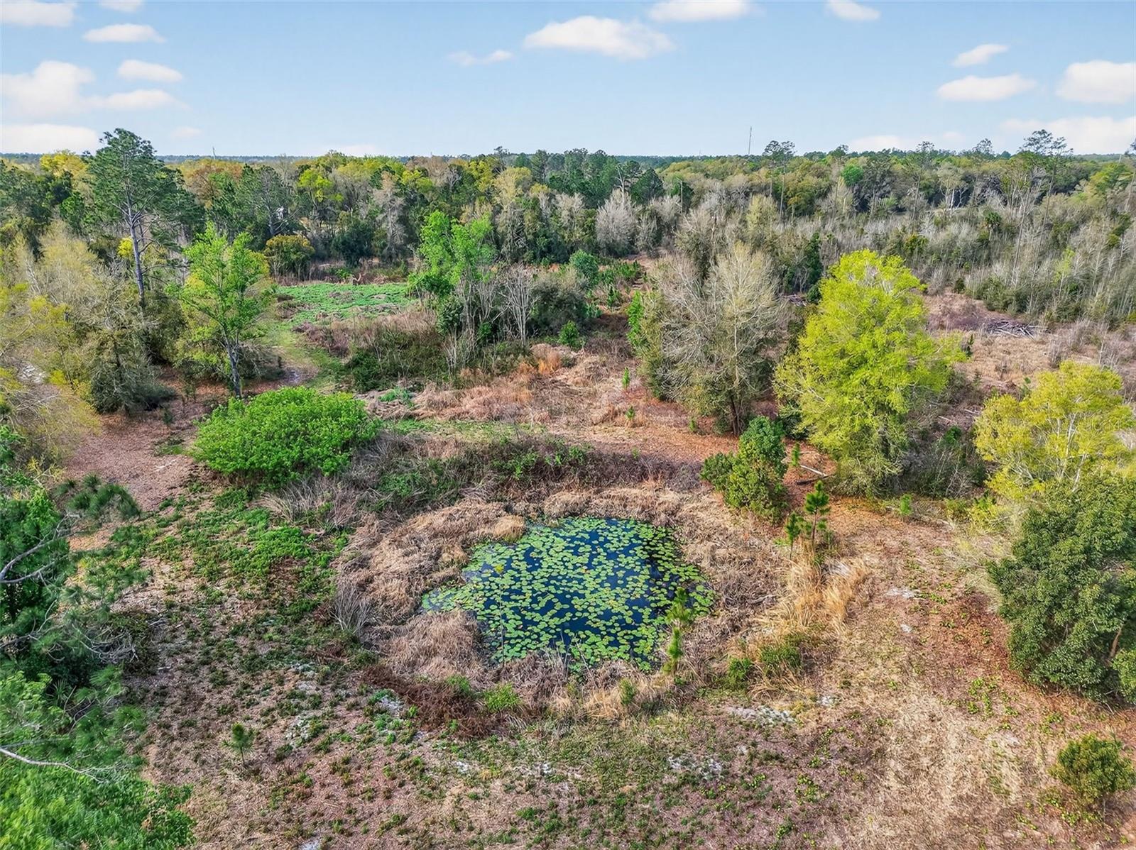 ISLAND POND LN, EUSTIS, FL — photo 3