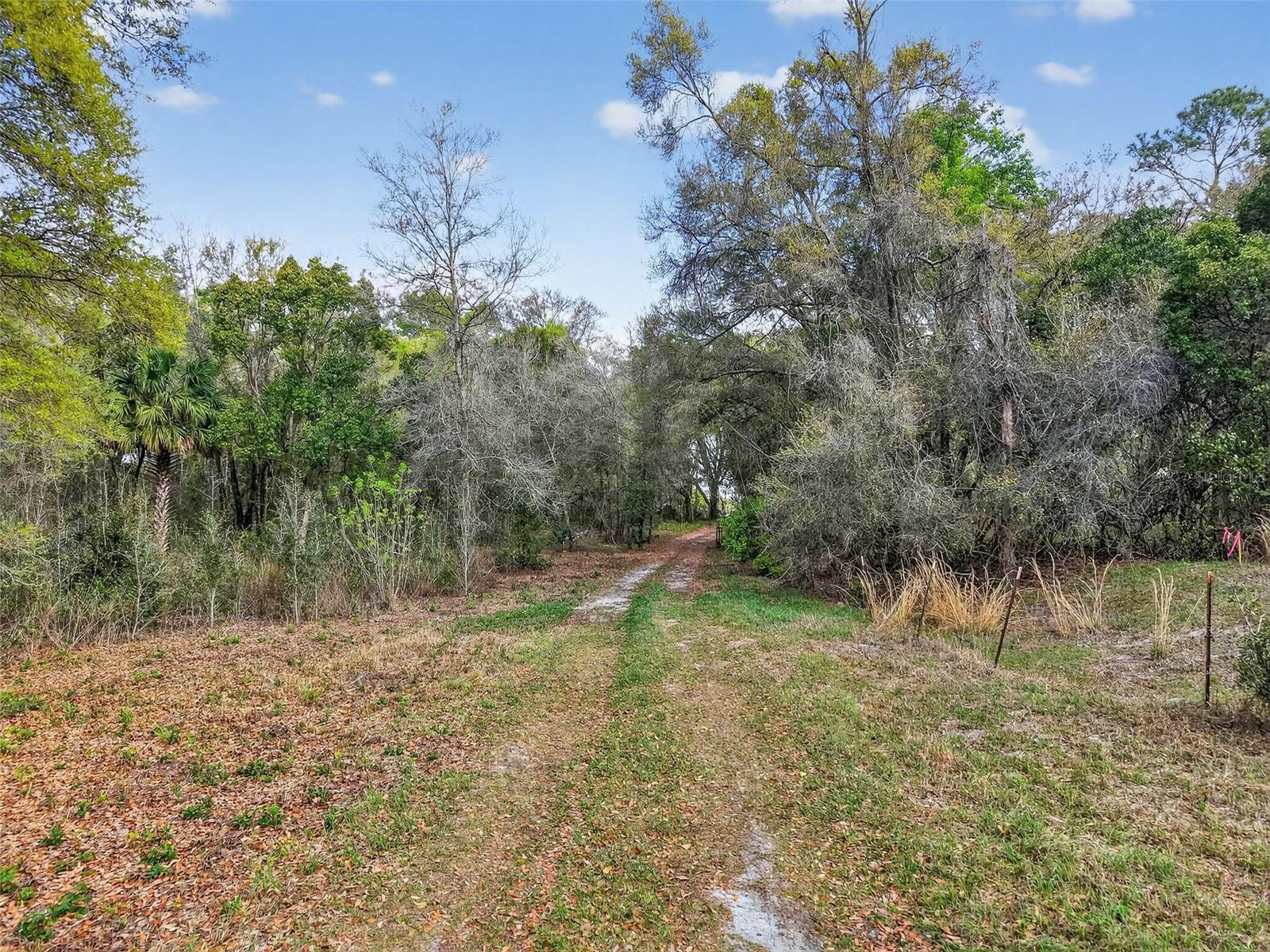 ISLAND POND LN, EUSTIS, FL — photo 22