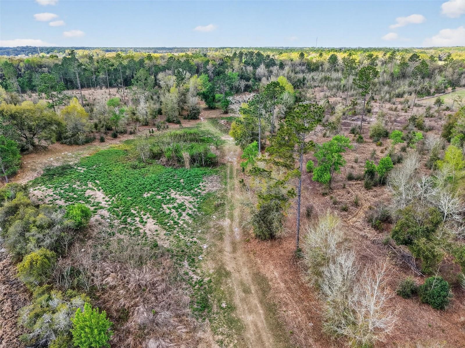 ISLAND POND LN, EUSTIS, FL — photo 35
