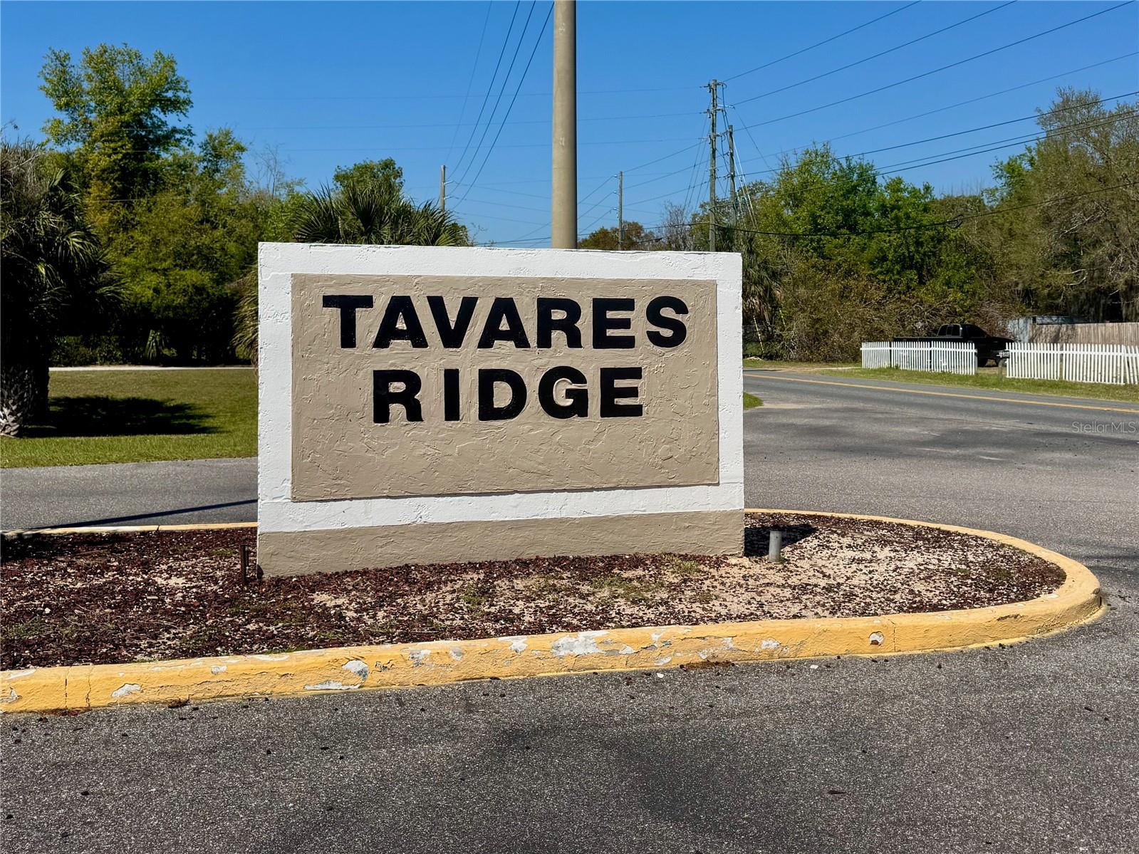 12248 TAVARES RIDGE CIR, TAVARES, FL — photo 59