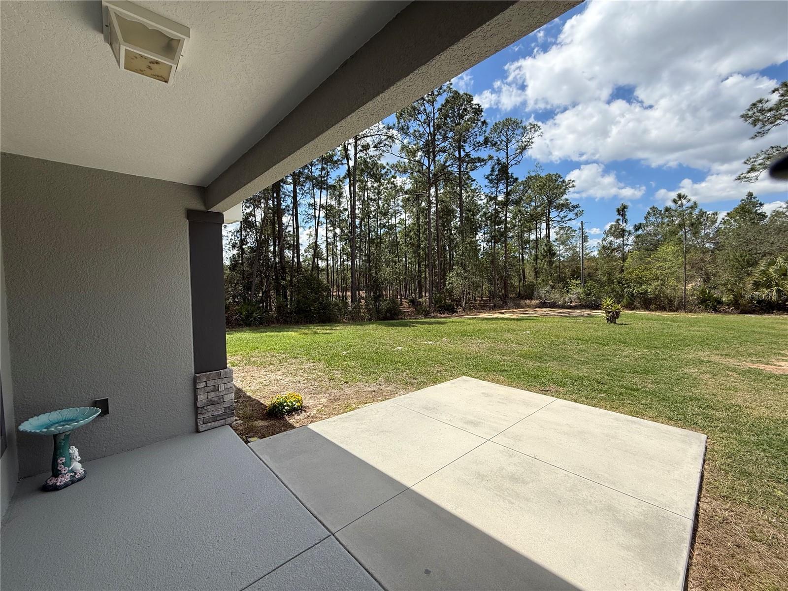 41180 BALSAM ST, EUSTIS, FL — photo 72