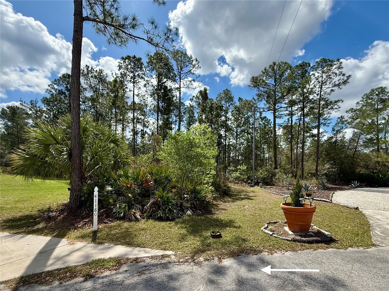 41180 BALSAM ST, EUSTIS, FL — photo 73