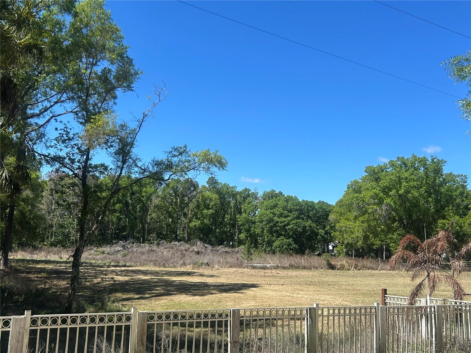 1565 CREEK RD, WESLEY CHAPEL, FL — photo 2