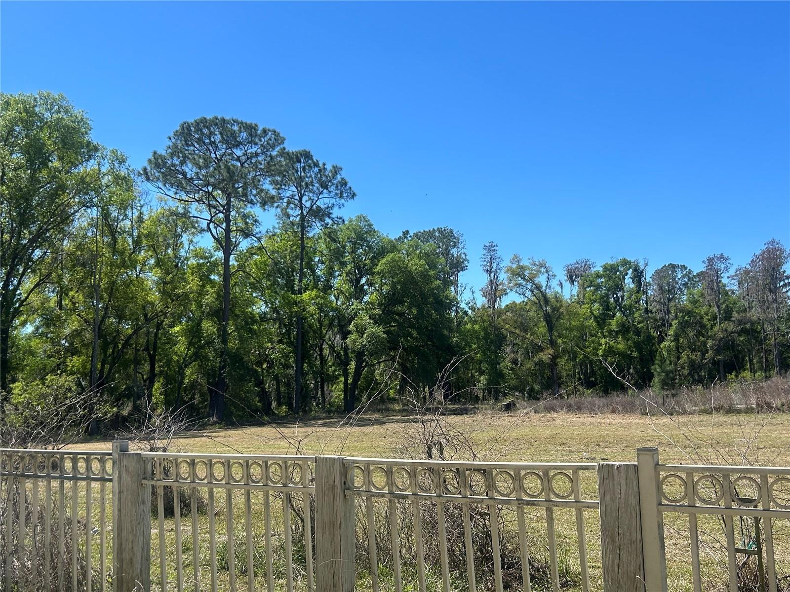 1565 CREEK RD, WESLEY CHAPEL, FL — photo 4
