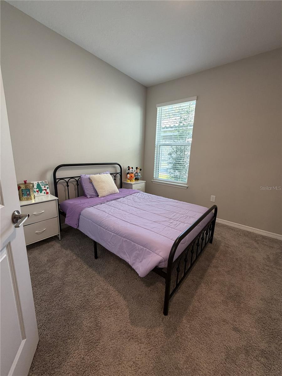 3818 ROSE MALLOW DR, KISSIMMEE, FL — photo 16