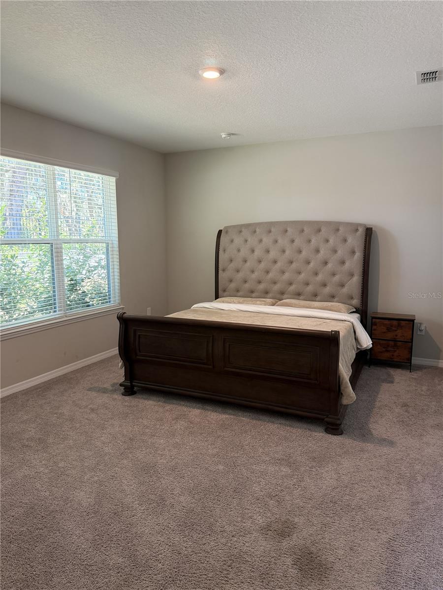 3818 ROSE MALLOW DR, KISSIMMEE, FL — photo 19