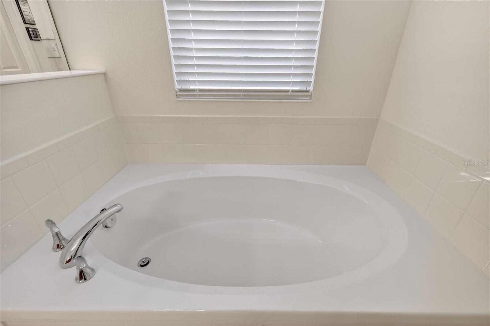 6070 SIERRA CROWN ST, MOUNT DORA, FL — photo 22