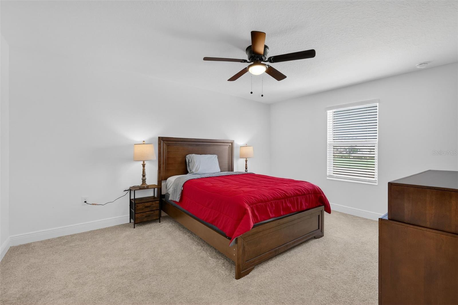 6070 SIERRA CROWN ST, MOUNT DORA, FL — photo 25