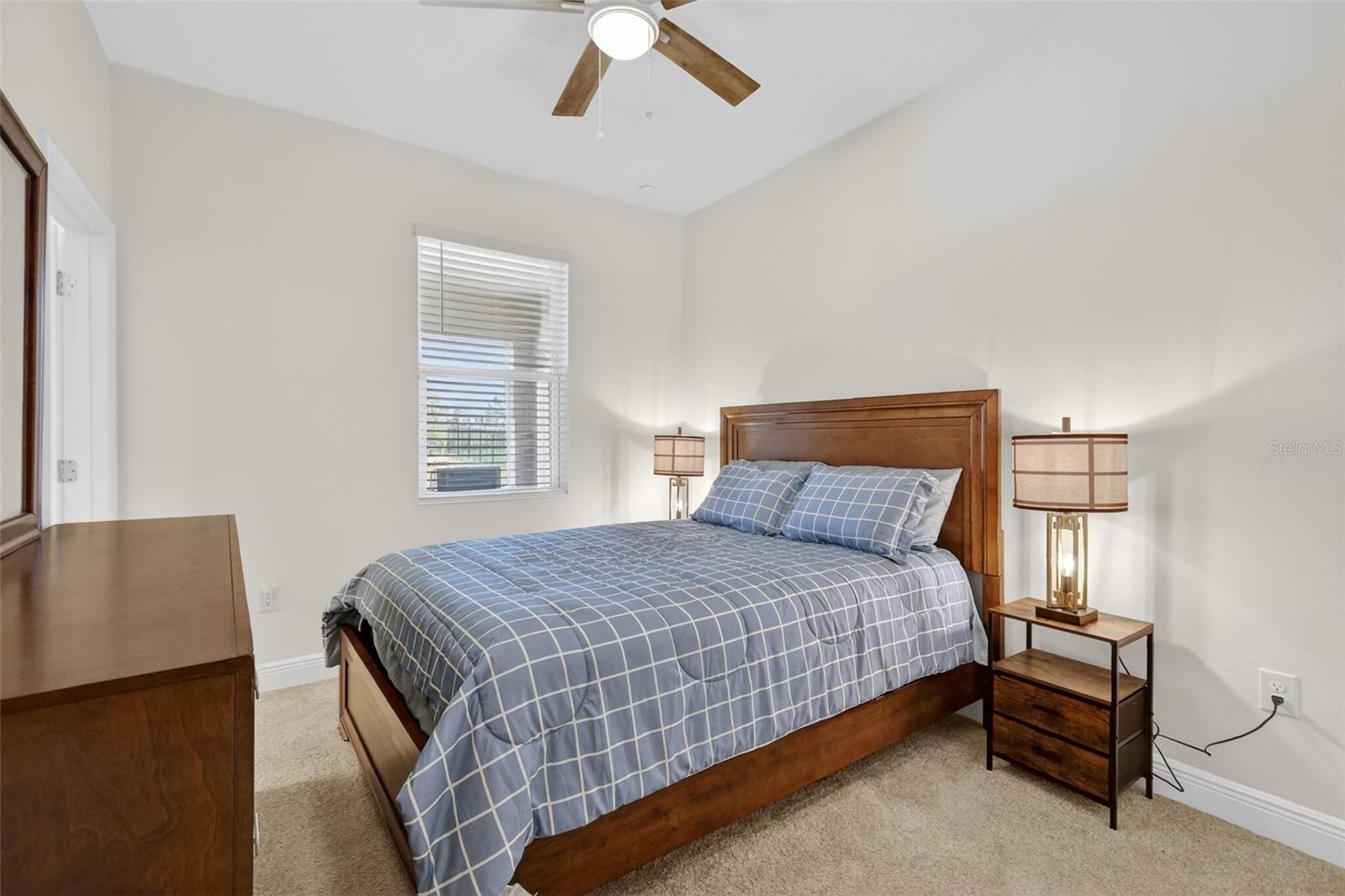 6070 SIERRA CROWN ST, MOUNT DORA, FL — photo 33