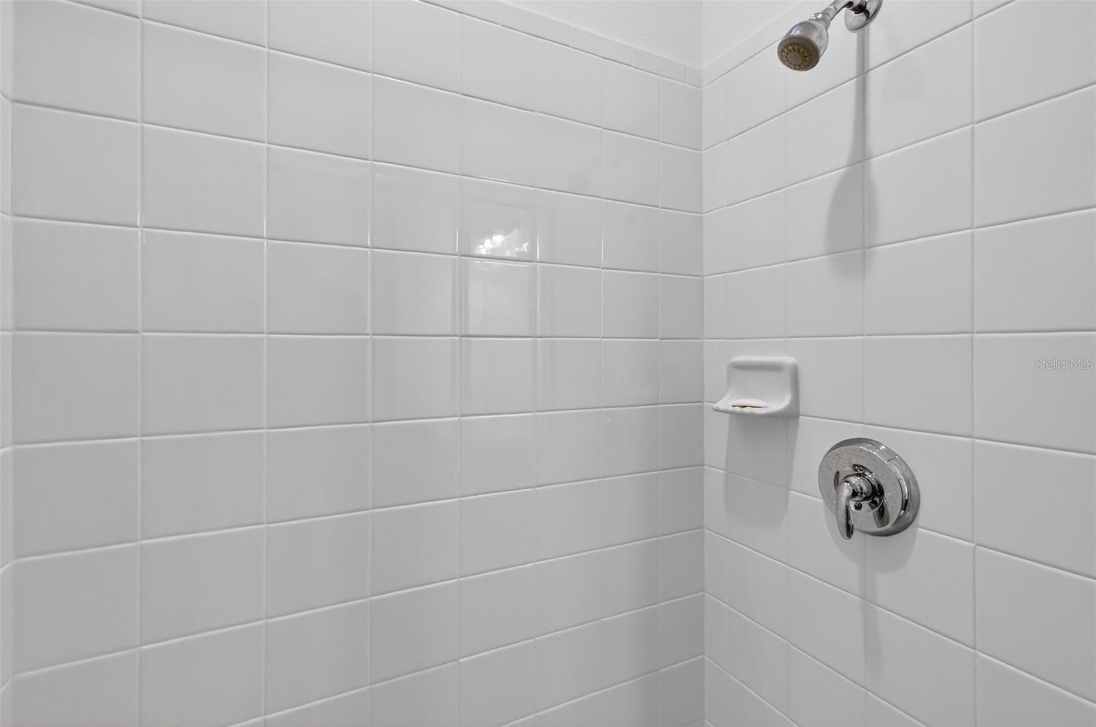 6070 SIERRA CROWN ST, MOUNT DORA, FL — photo 36
