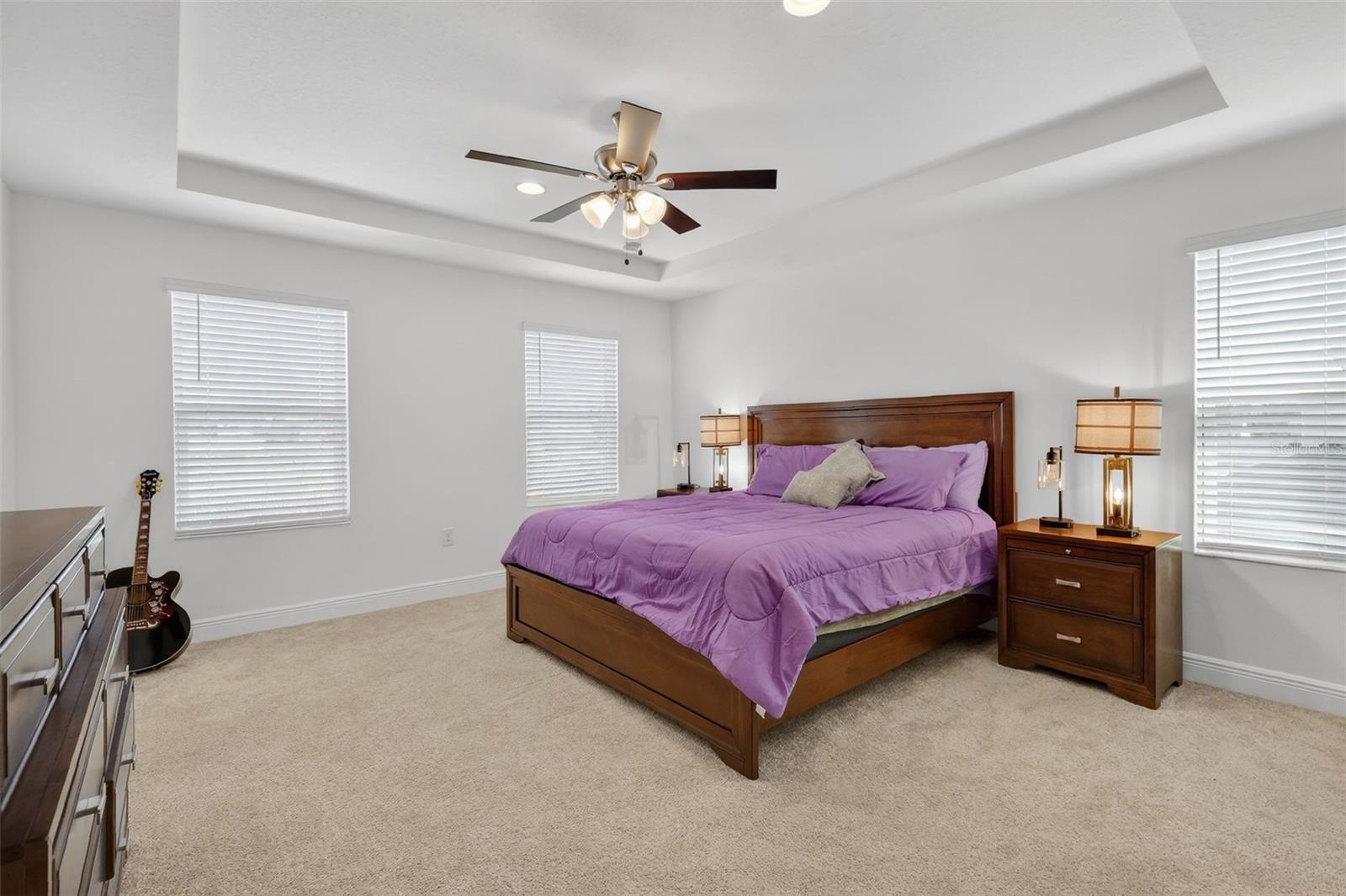 6070 SIERRA CROWN ST, MOUNT DORA, FL — photo 43