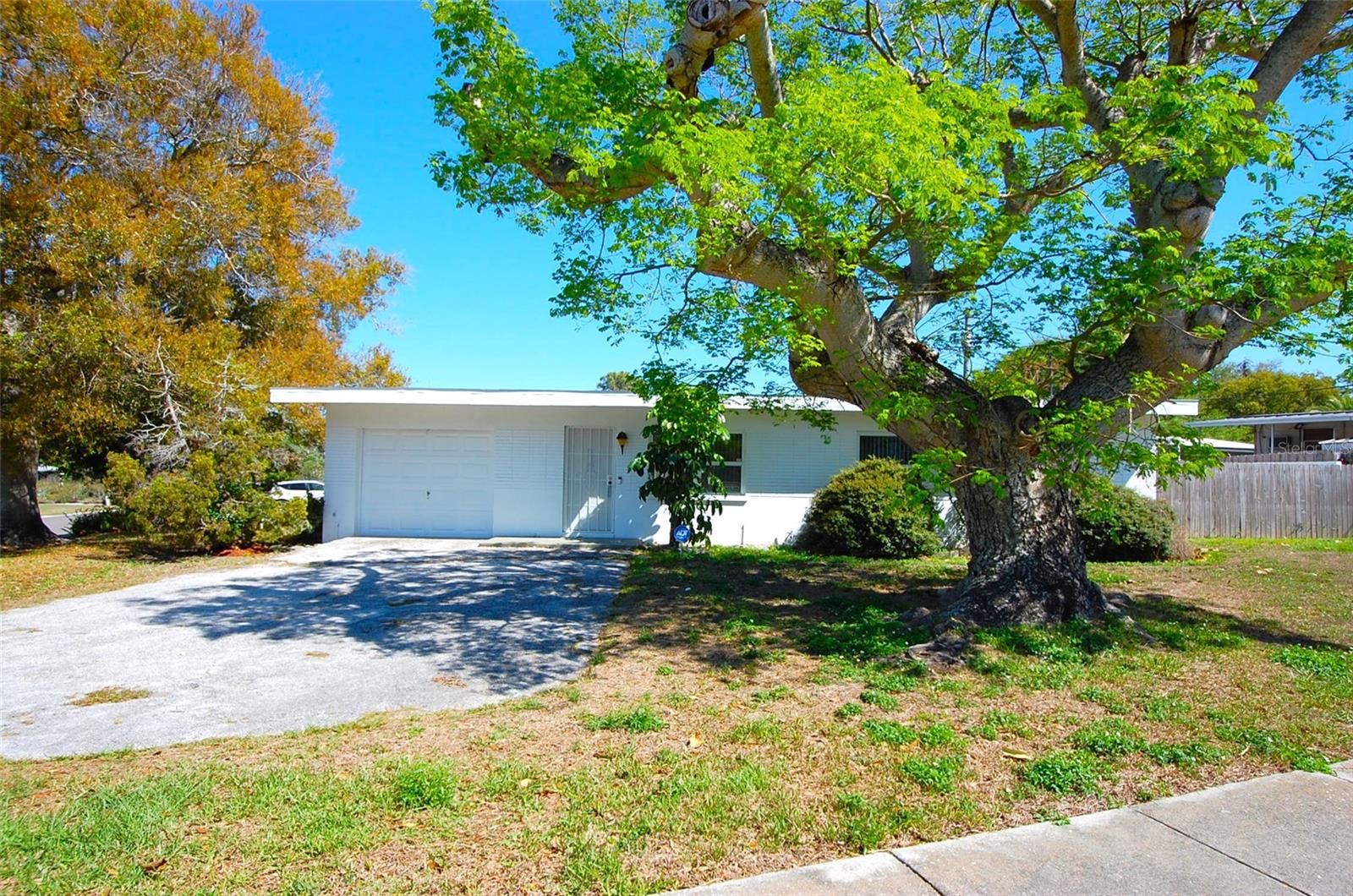 1201 S BETTY LN, CLEARWATER, FL — photo 16