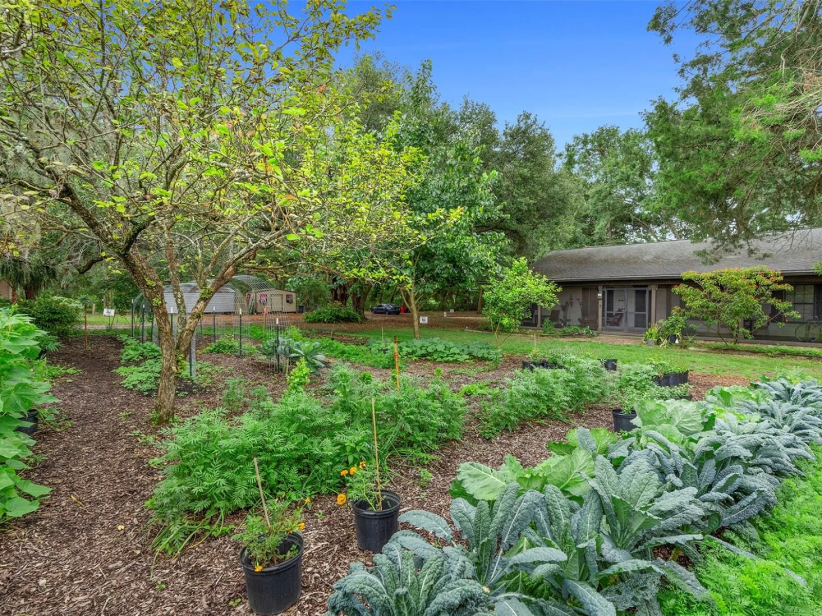 2026 LEWIS RD, LEESBURG, FL — photo 86