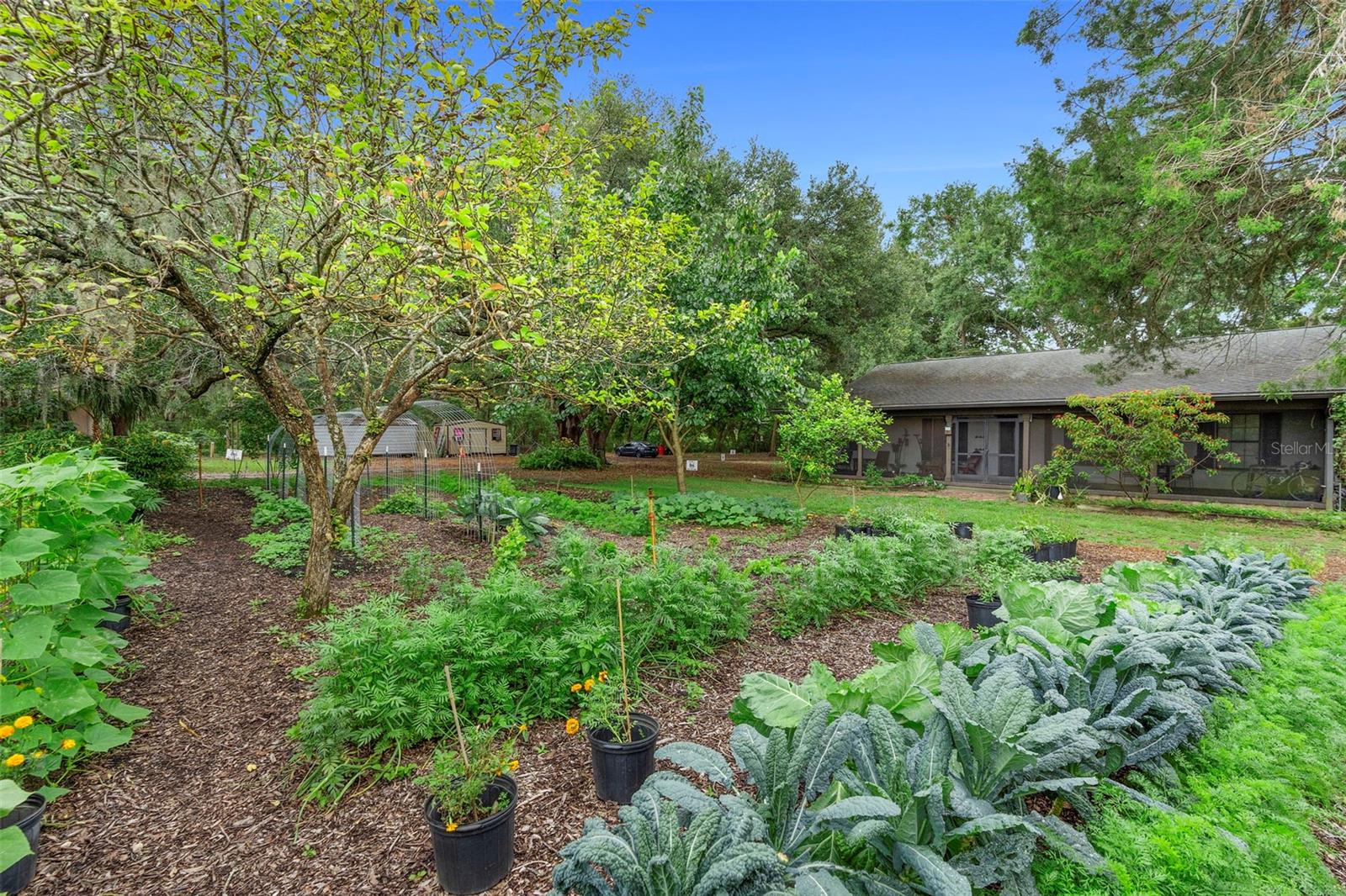 2026 LEWIS RD, LEESBURG, FL — photo 85