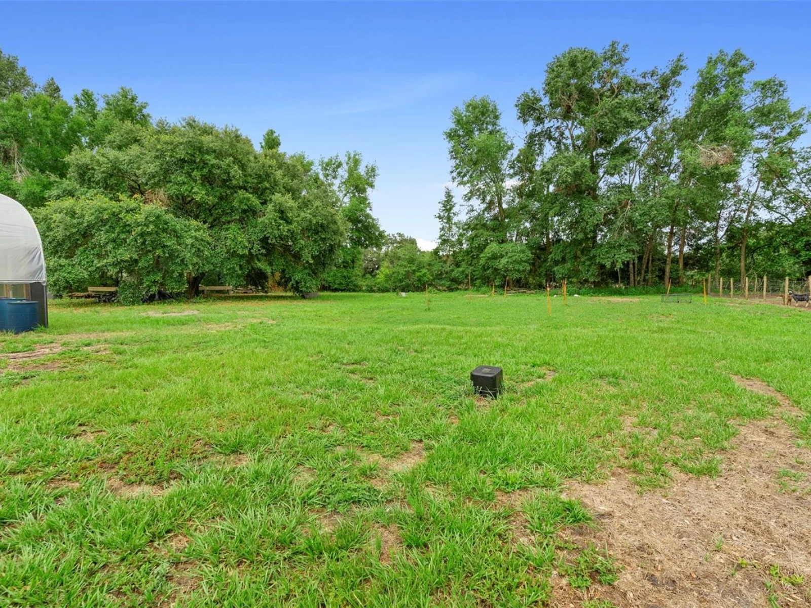 2026 LEWIS RD, LEESBURG, FL — photo 144