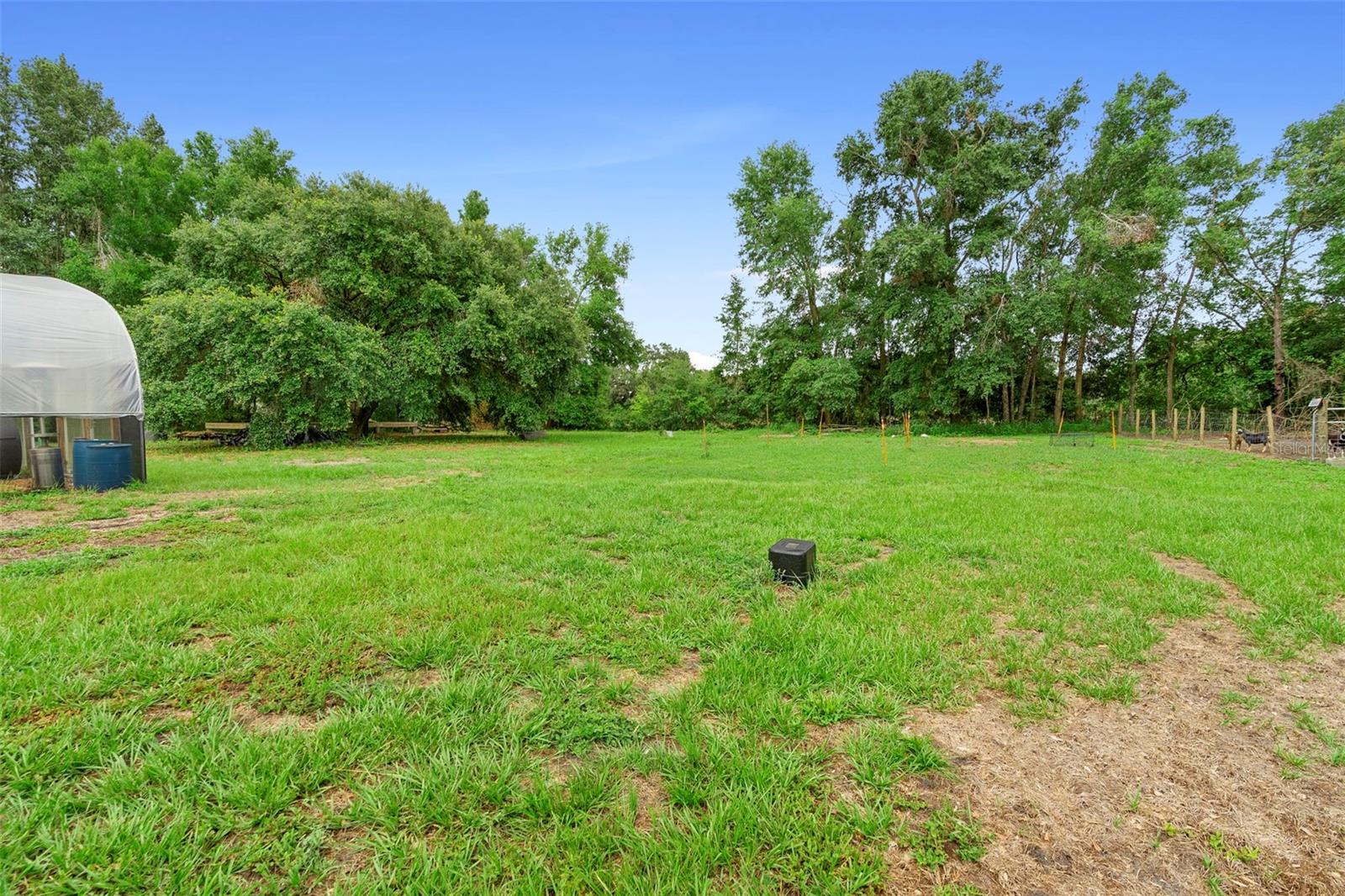 2026 LEWIS RD, LEESBURG, FL — photo 143