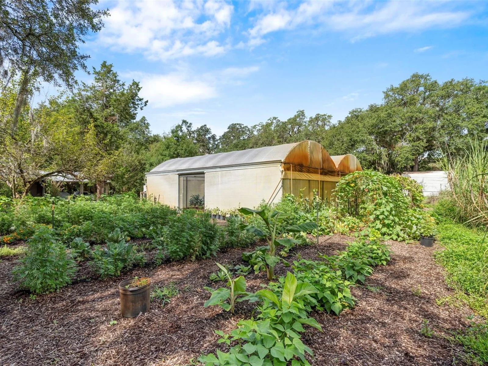 2026 LEWIS RD, LEESBURG, FL — photo 145