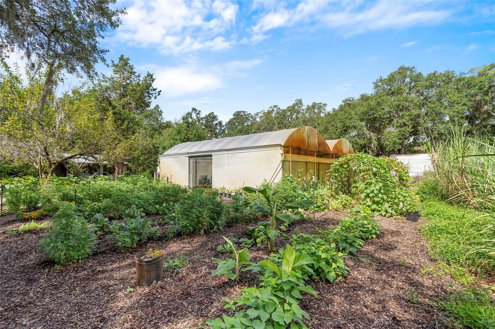 2026 LEWIS RD, LEESBURG, FL — photo 146