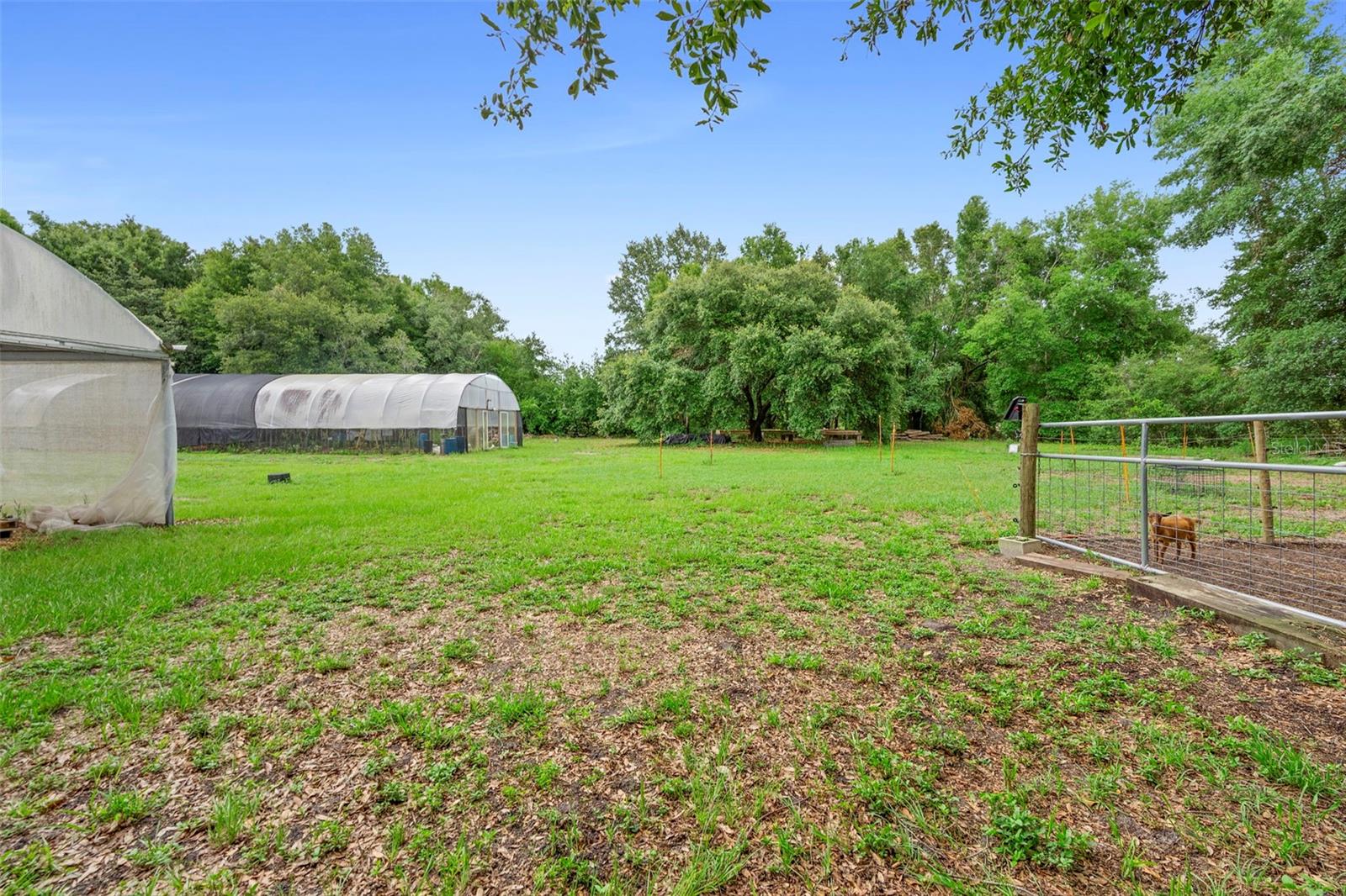 2026 LEWIS RD, LEESBURG, FL — photo 149