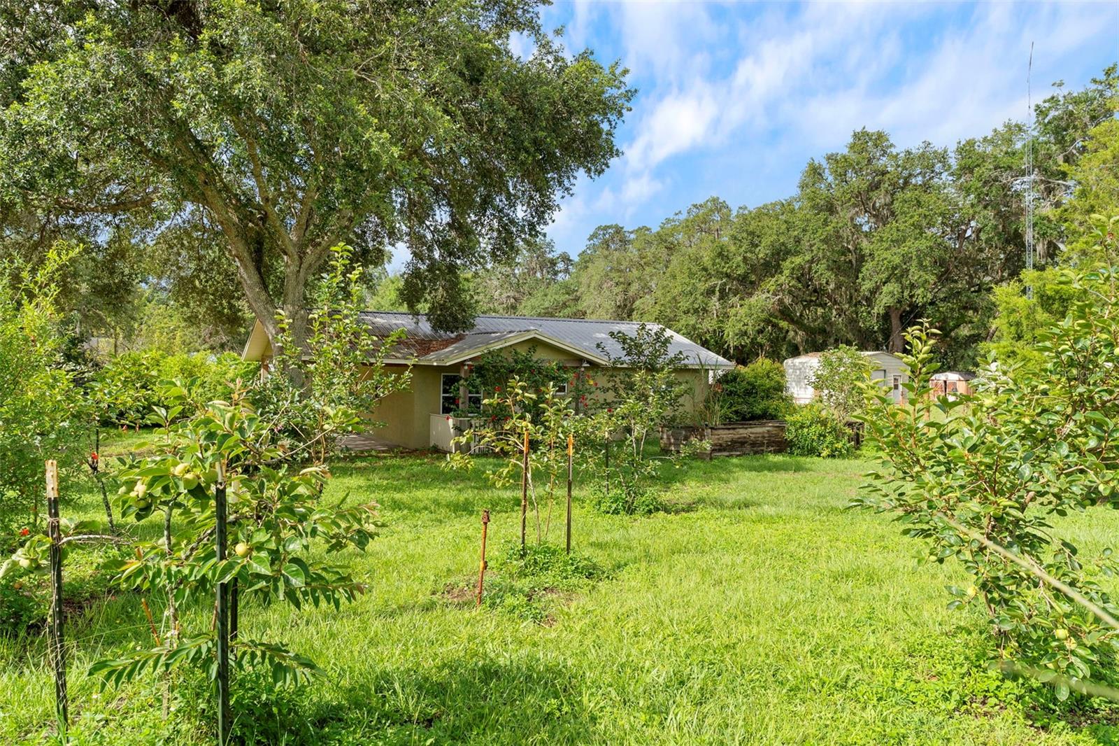 2026 LEWIS RD, LEESBURG, FL — photo 151