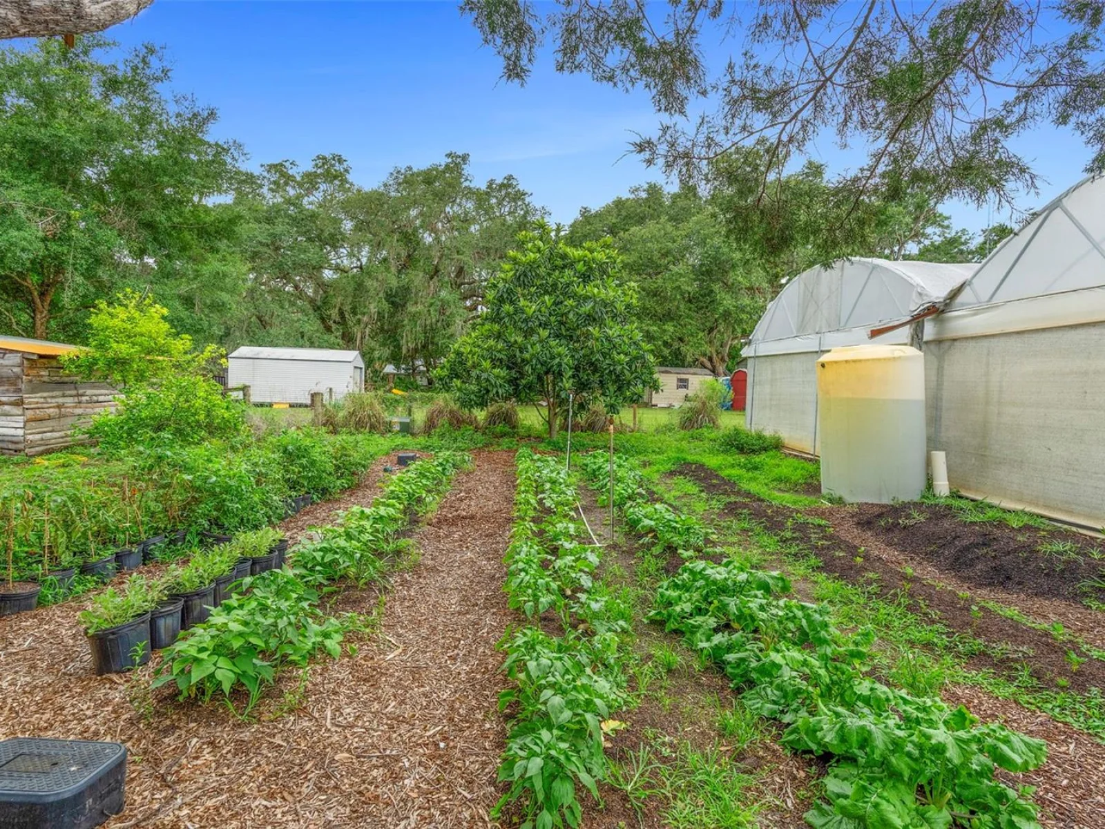 2026 LEWIS RD, LEESBURG, FL — photo 178