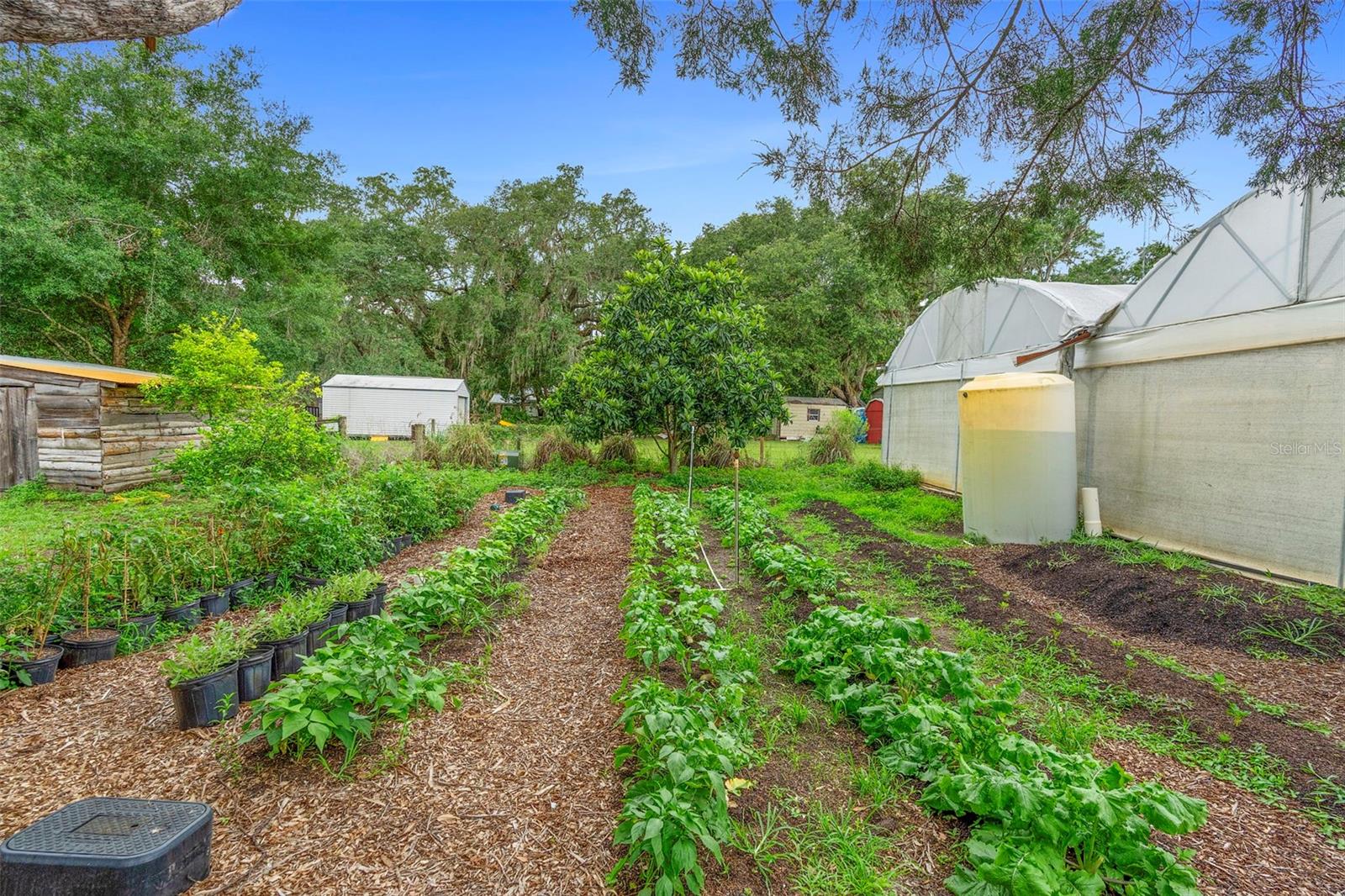 2026 LEWIS RD, LEESBURG, FL — photo 177