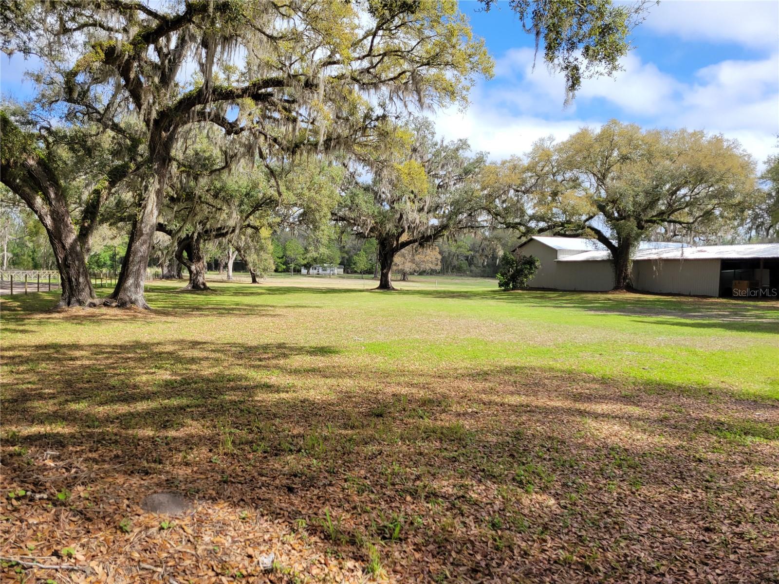 22397 MONDON HILL RD, BROOKSVILLE, FL — photo 4