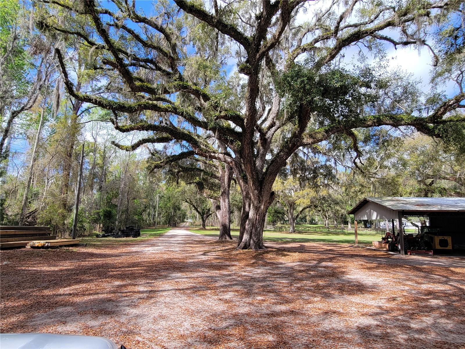 22397 MONDON HILL RD, BROOKSVILLE, FL — photo 5