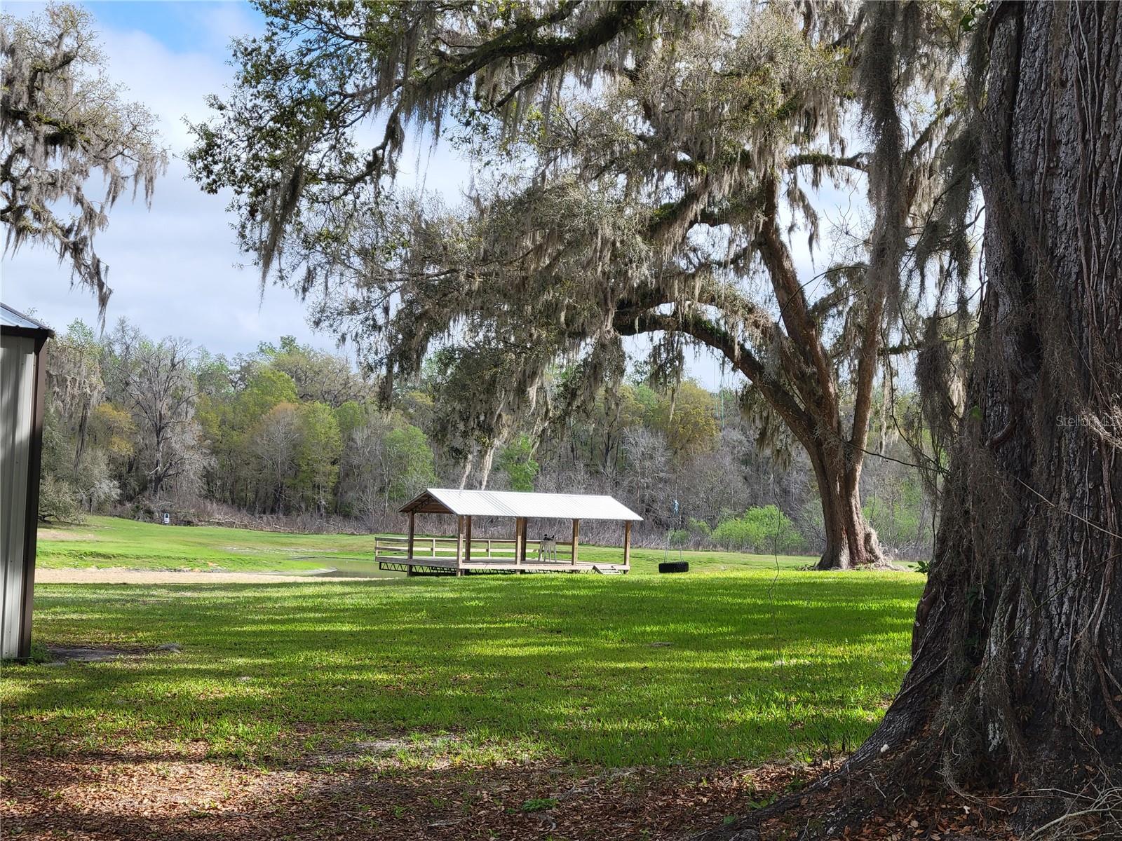 22397 MONDON HILL RD, BROOKSVILLE, FL — photo 6