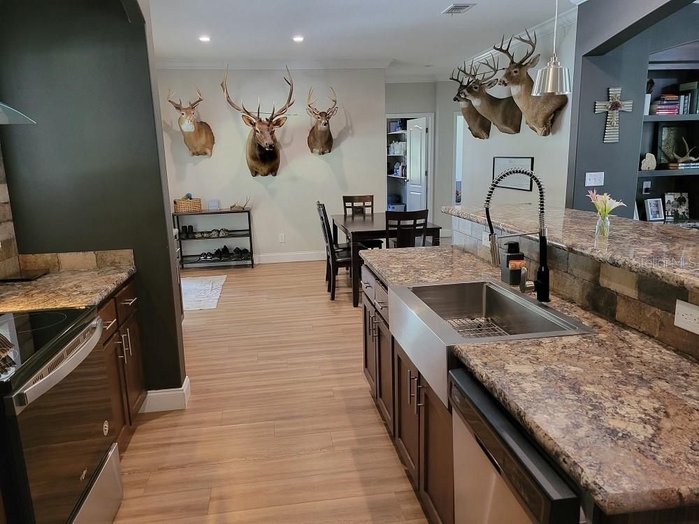 22397 MONDON HILL RD, BROOKSVILLE, FL — photo 13
