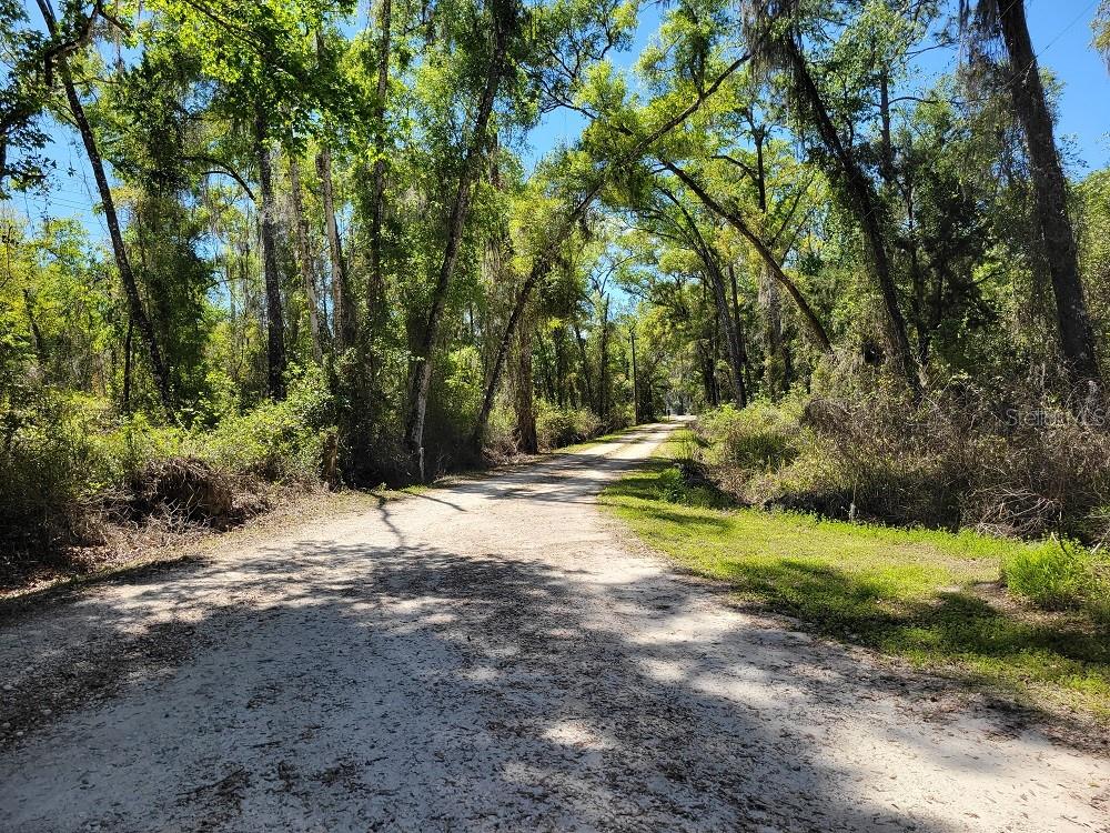 22397 MONDON HILL RD, BROOKSVILLE, FL — photo 45