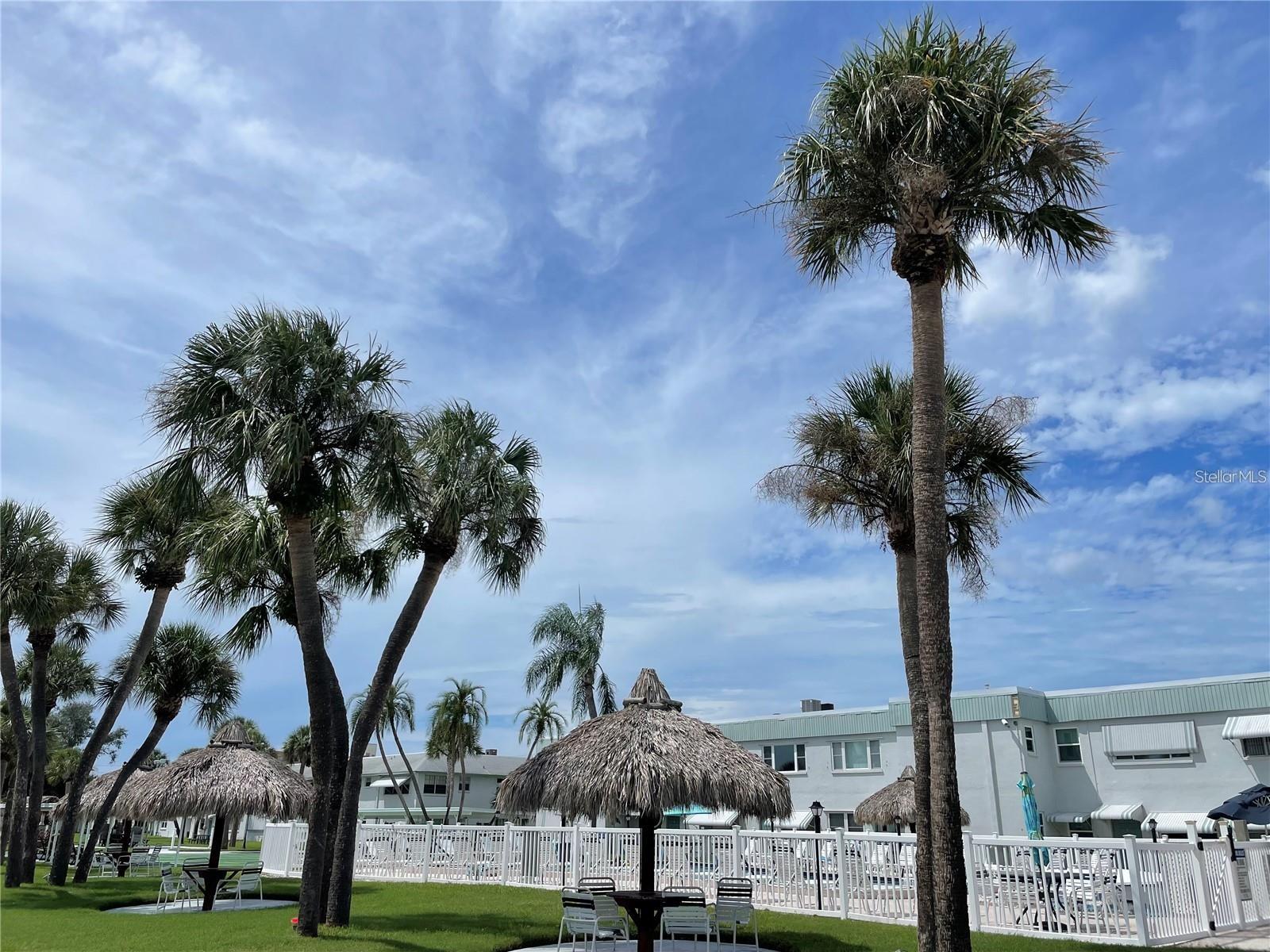 5357 81ST ST N #24, ST PETERSBURG, FL — photo 22
