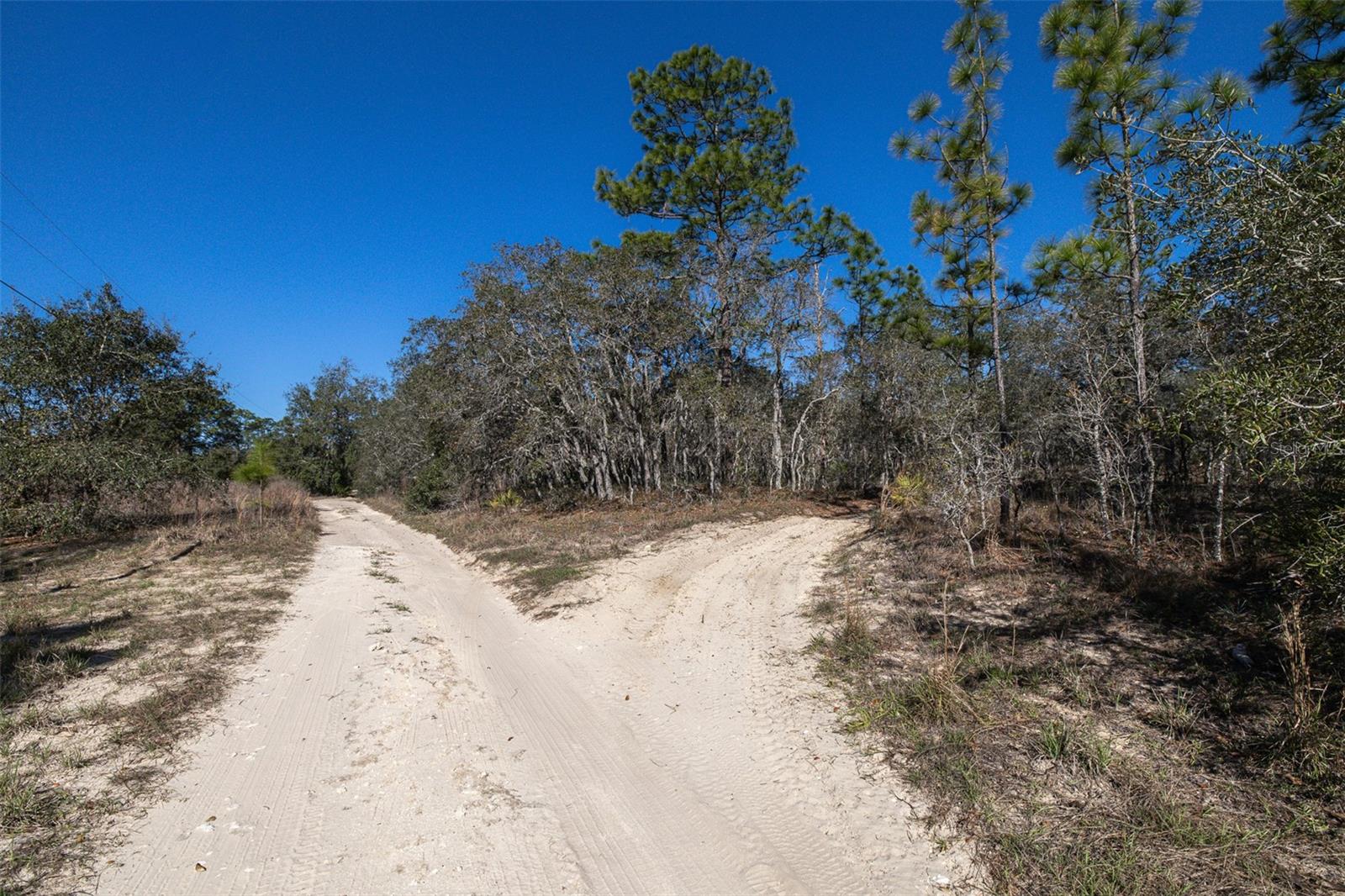 4845 W HERMAN CT, HOMOSASSA, FL — photo 6