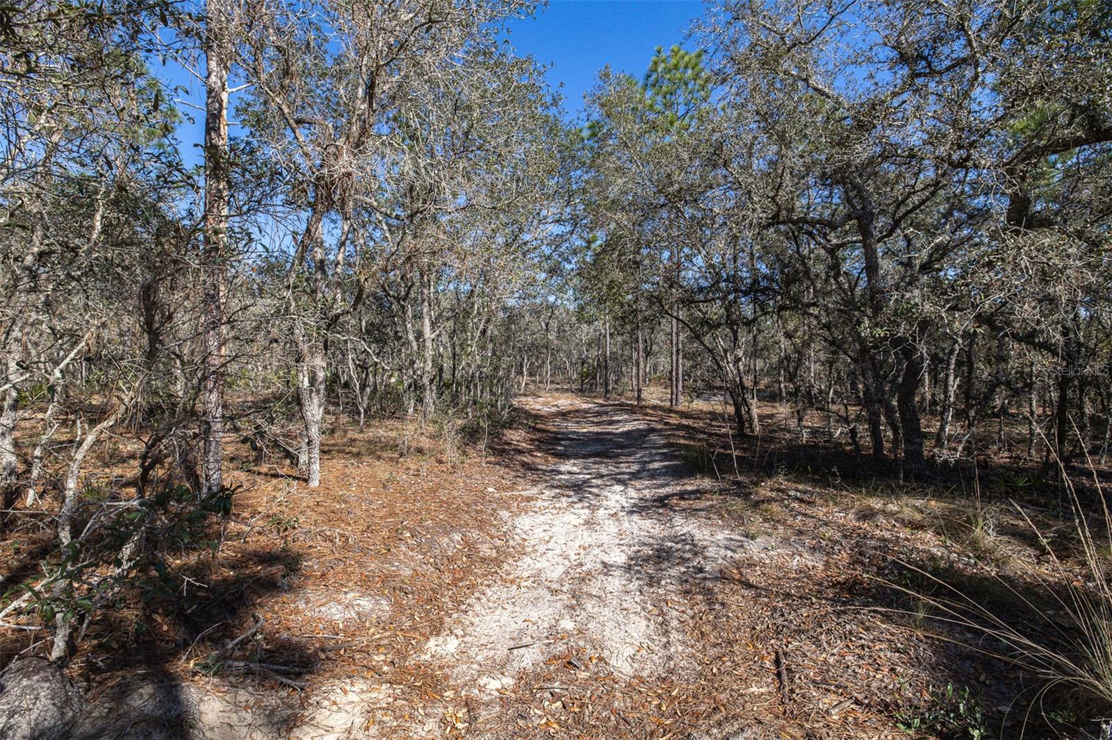 4845 W HERMAN CT, HOMOSASSA, FL — photo 7
